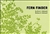 Fern Finder: A guide to native ferns of central and northeastern United States and eastern Canada - Anne C. Hallowell, Barbara G. Hallowell