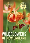 Wildflowers of New England - Ted Elliman and Native Plant Trust