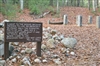 Site of Thoreau's Walden House and Cairn - Barbara Olson Postcard