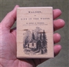 Walden Title Page Magnet