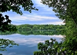 "Summer Green at Walden Pond" (14 x 11 Matted Print) – Barbara Olson