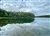 "Summer Clouds at Walden Pond" (14 x 11 Matted Print) – Barbara Olson