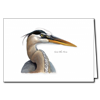 Great Blue Heron Note Card - David Sibley