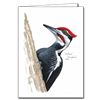 Pileated Woodpecker Note Card - David Sibley