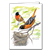 Baltimore Oriole Note Card - David Sibley