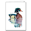 Wood Duck Note Card - David Sibley