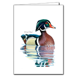 Wood Duck Note Card - David Sibley